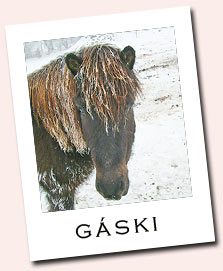 Gaski