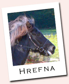 Hrefna