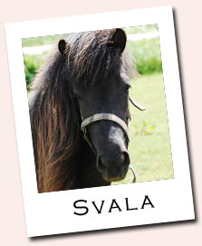 svala