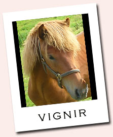 Vignir